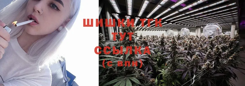 Каннабис White Widow  Нестеров 